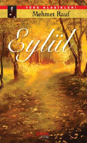 Cover of the book Eylül by Emile Zola