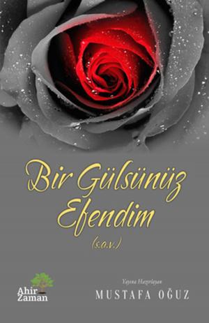 bigCover of the book Bir Gülsünüz Efendim by 