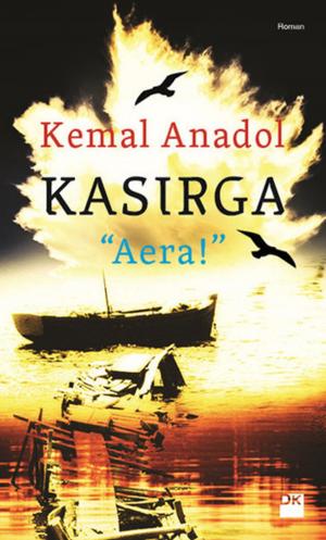 Cover of the book Kasırga " AERA! " by Yankı Yazgan