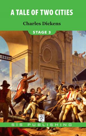 Cover of the book A Tale Of Two Cities Stage 3 by Charles Dickens
