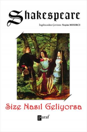 Cover of the book Size Nasıl Geliyorsa by Harold Lamb