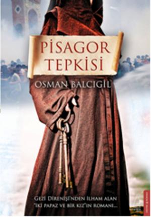 Cover of the book Pisagor Tepkisi by Nuray Sayarı