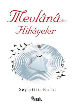 Cover of the book Mevlana'dan Hikayeler by Mehmed Paksu