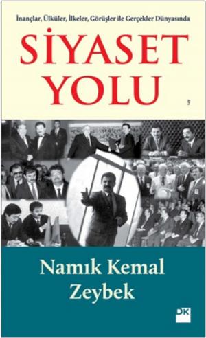 Book cover of Siyaset Yolu