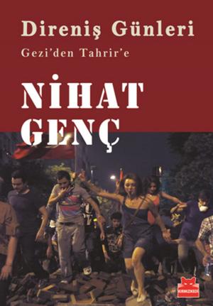 Cover of the book Direniş Günleri by Virginia Woolf