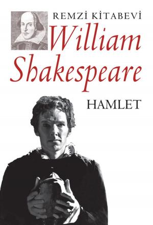 Cover of the book Hamlet-Remzi by Bülent Şenver