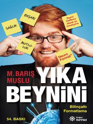 Cover of the book Yıka Beynini by Güneş Tan