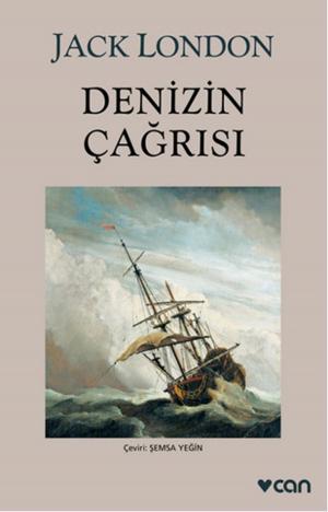 Cover of the book Denizin Çağrısı by Franz Kafka