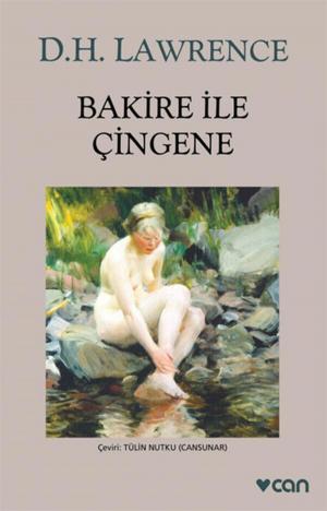 Book cover of Bakire İle Çingene