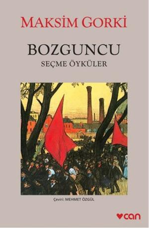Cover of the book Bozguncu by Nikos Kazancakis