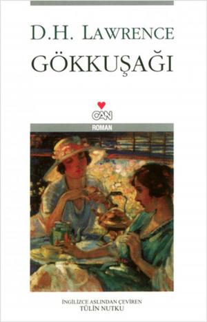 Book cover of Gökkuşağı