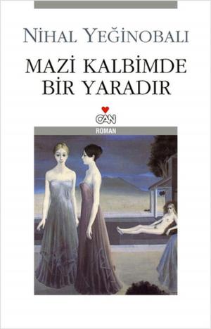 Cover of the book Mazi Kalbimde Bir Yaradır by Paul Auster
