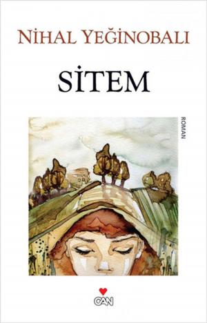 Cover of the book Sitem by Fyodor Mihayloviç Dostoyevski
