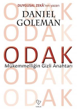 Cover of the book Odak by Nassim Nicholas Taleb