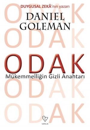 Book cover of Öfke Dansı