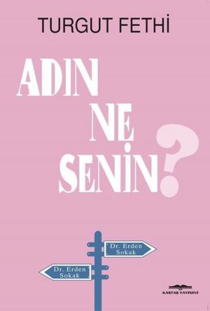 Cover of the book Adın Ne Senin? by Comtesse de Segur, Horace Castelli