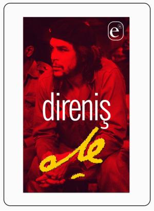 Cover of the book Direniş by Berneta L. Haynes