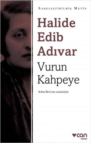 Cover of the book Vurun Kahpeye - Sadeleştirilmiş Metin by Paul Auster
