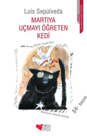 Cover of the book Martıya Uçmayı Öğreten Kedi by Süreyya Berfe