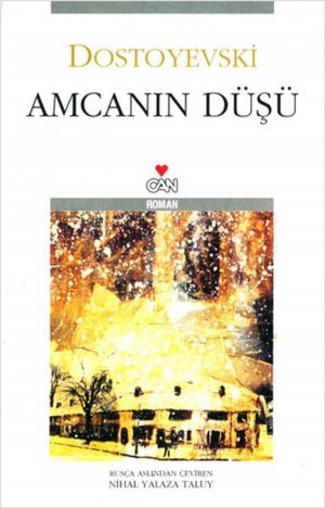 Cover of the book Amcanın Düşü by Nihal Yeğinobalı