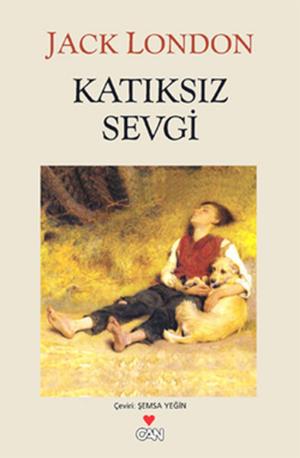 Book cover of Katıksız Sevgi
