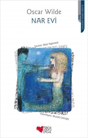 Cover of the book Nar Evi by Göknil Genç