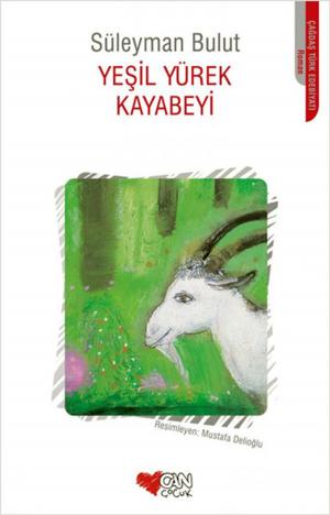 Cover of the book Yeşil Yürek Kayabeyi by Bilgin Adalı