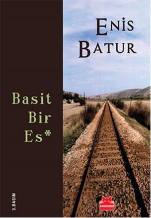 Cover of the book Basit Bir Es by İlhan Taşcı