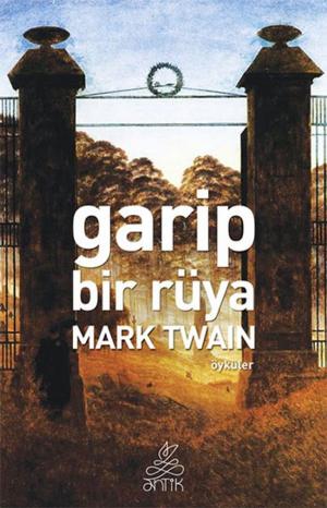Cover of the book Garip Bir Rüya by Franz Kafka