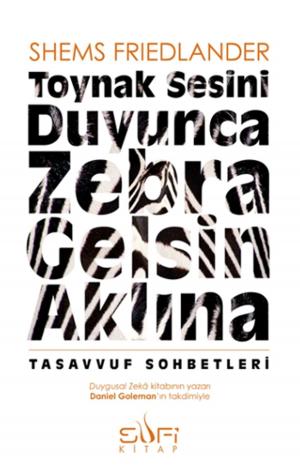 Book cover of Toynak Sesini Duyunca Zebra Gelsin Aklına