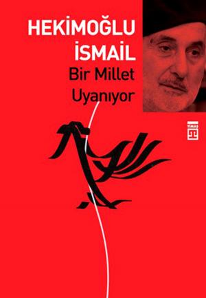 Cover of the book Bir Millet Uyanıyor by Adem Güneş