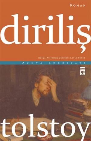 Cover of the book Diriliş by Afife Rezzemaza