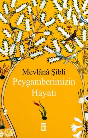 Cover of the book Peygamberimizin Hayatı by Halil Ersin Avcı