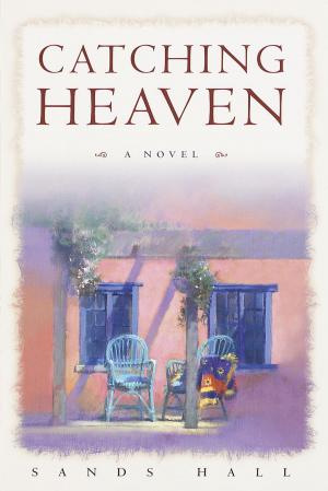 Cover of the book Catching Heaven by Alyssa Katz