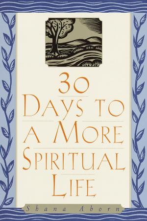 Cover of the book 30 Days to a More Spiritual Life by Stephen Arterburn, Fred Stoeker, Brenda Stoeker, Mike Yorkey