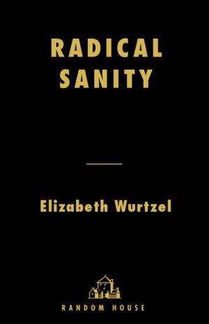 Book cover of Radical Sanity