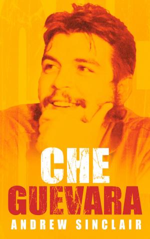 Cover of the book Che Guevara by David Long