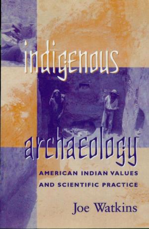 Cover of the book Indigenous Archaeology by Sing C. Chew