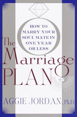 bigCover of the book The Marriage Plan by 