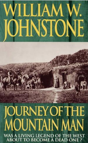 bigCover of the book Journey Of The Mountain Man by 