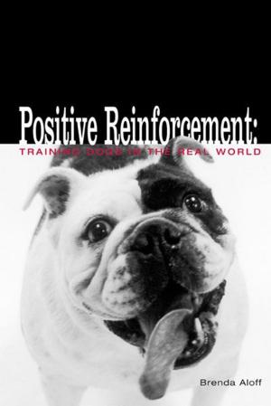 Cover of the book Positive Reinforcement by Lisa Manzione