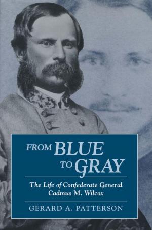 Cover of the book From Blue to Gray by Patrick Agte