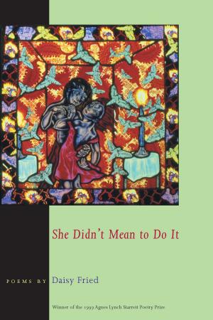 Cover of the book She Didn't Mean To Do It by Robin Becker