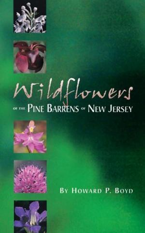 Cover of the book Wildflowers of the Pine Barrens of New Jersey by Paul Evans Pedersen Jr., Jodi Weiss Pedersen