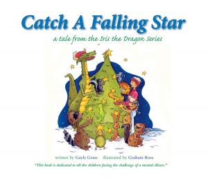Cover of the book Catch a Falling Star: A Tale from the Iris the Dragon Series by Dhawal Harkawat