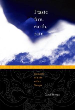 Cover of the book I TASTE FIRE, EARTH, RAIN by Xander Gibb