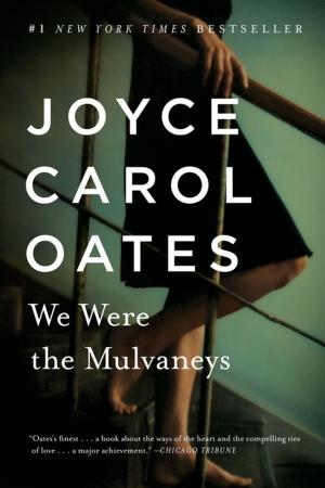 Cover of the book We Were the Mulvaneys by Jory Strong