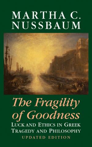 Cover of the book The Fragility of Goodness by Sreerup Raychaudhuri, K. Sridhar