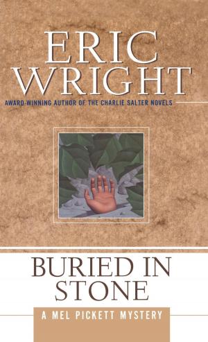 Cover of the book Buried in Stone by Marco Walder