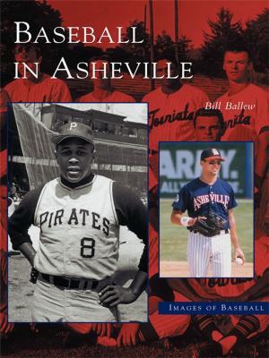 Cover of the book Baseball in Asheville by Marita Krivda Poxon, Rachel Hildebrandt, Old York Road Historical Society